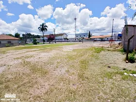 Terreno - Colônia - Carambeí