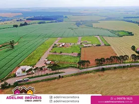 Terreno - Colônia - Carambeí
