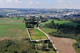 Terreno - Colônia - Carambeí